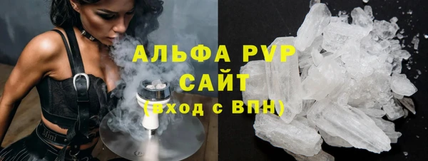PSILOCYBIN Богданович