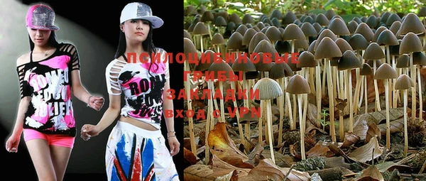 PSILOCYBIN Богданович
