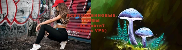 PSILOCYBIN Богданович