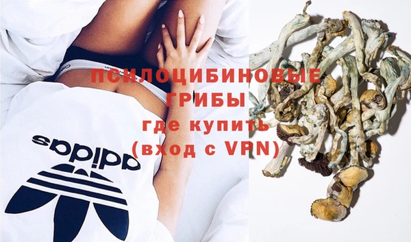 PSILOCYBIN Богданович