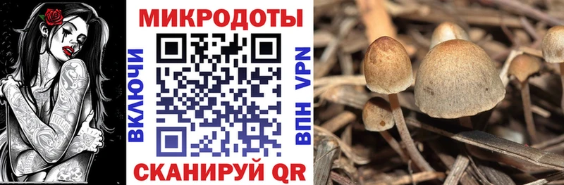 Псилоцибиновые грибы мицелий  Калининград 